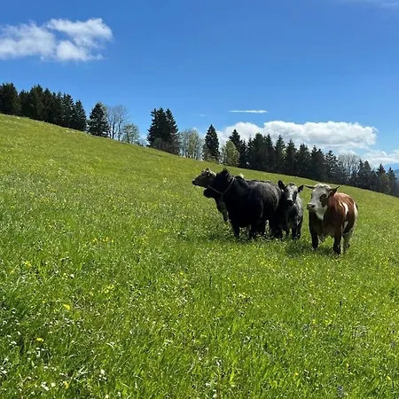 Сasa de vacaciones Brown Cattle By Riefs *