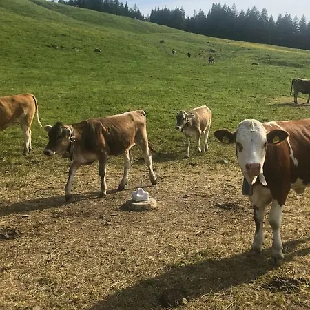 Сasa de vacaciones Brown Cattle By Riefs